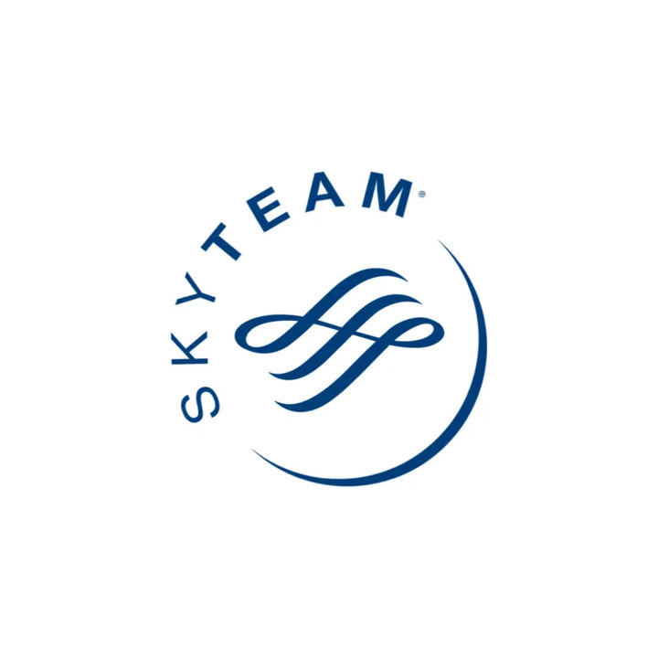 Skyteam Logo